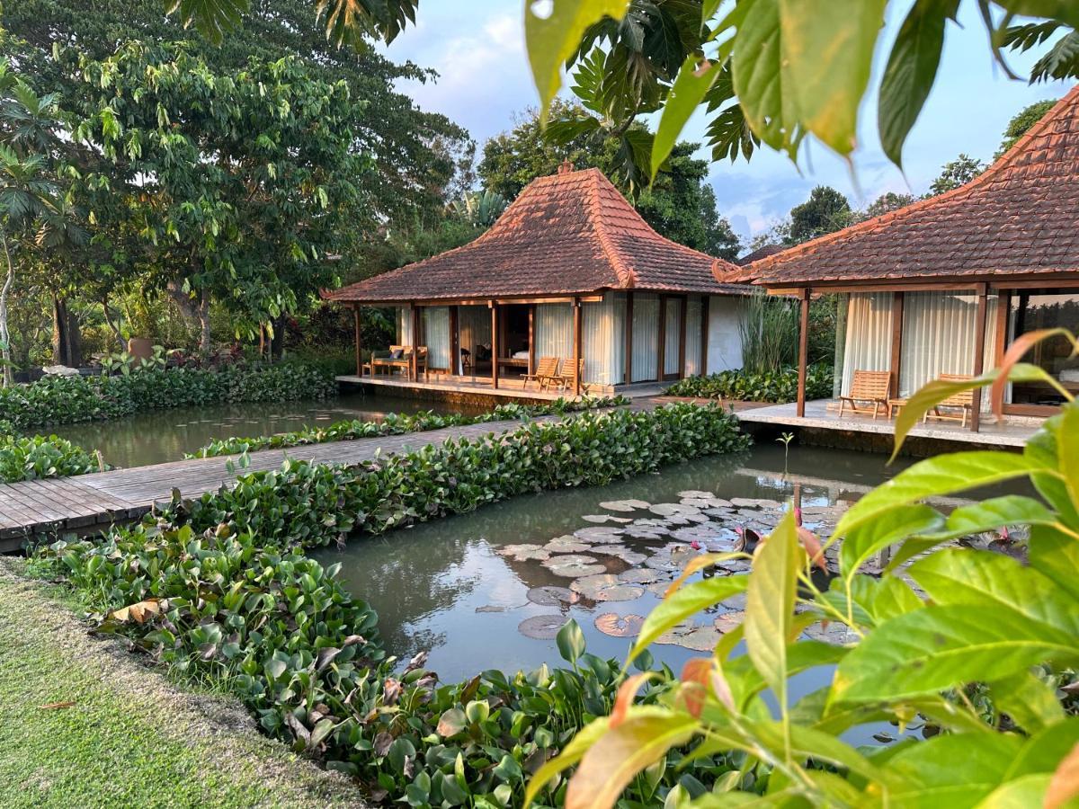 Griya Kcb Villa Ubud Exterior foto